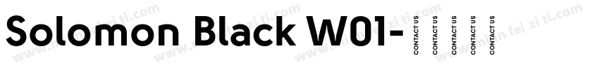 Solomon Black W01字体转换